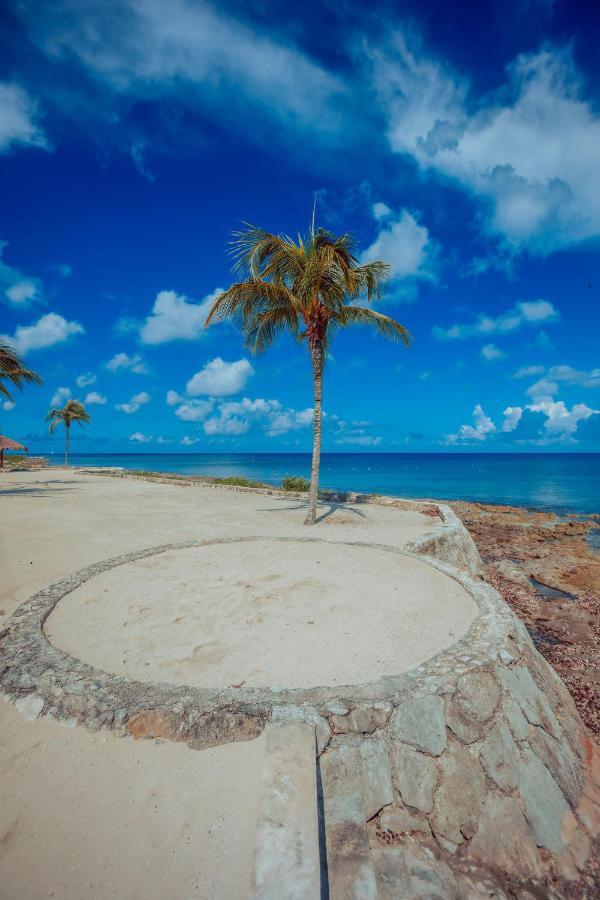 The Queen Of Cozumel Beach House -Luxury Beachfront Villa- Million Dollars View エクステリア 写真