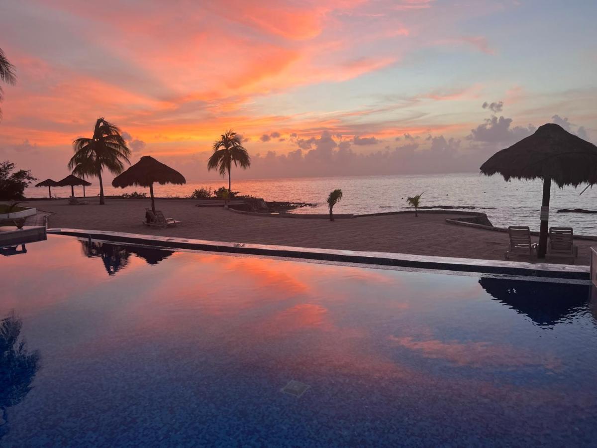 The Queen Of Cozumel Beach House -Luxury Beachfront Villa- Million Dollars View エクステリア 写真