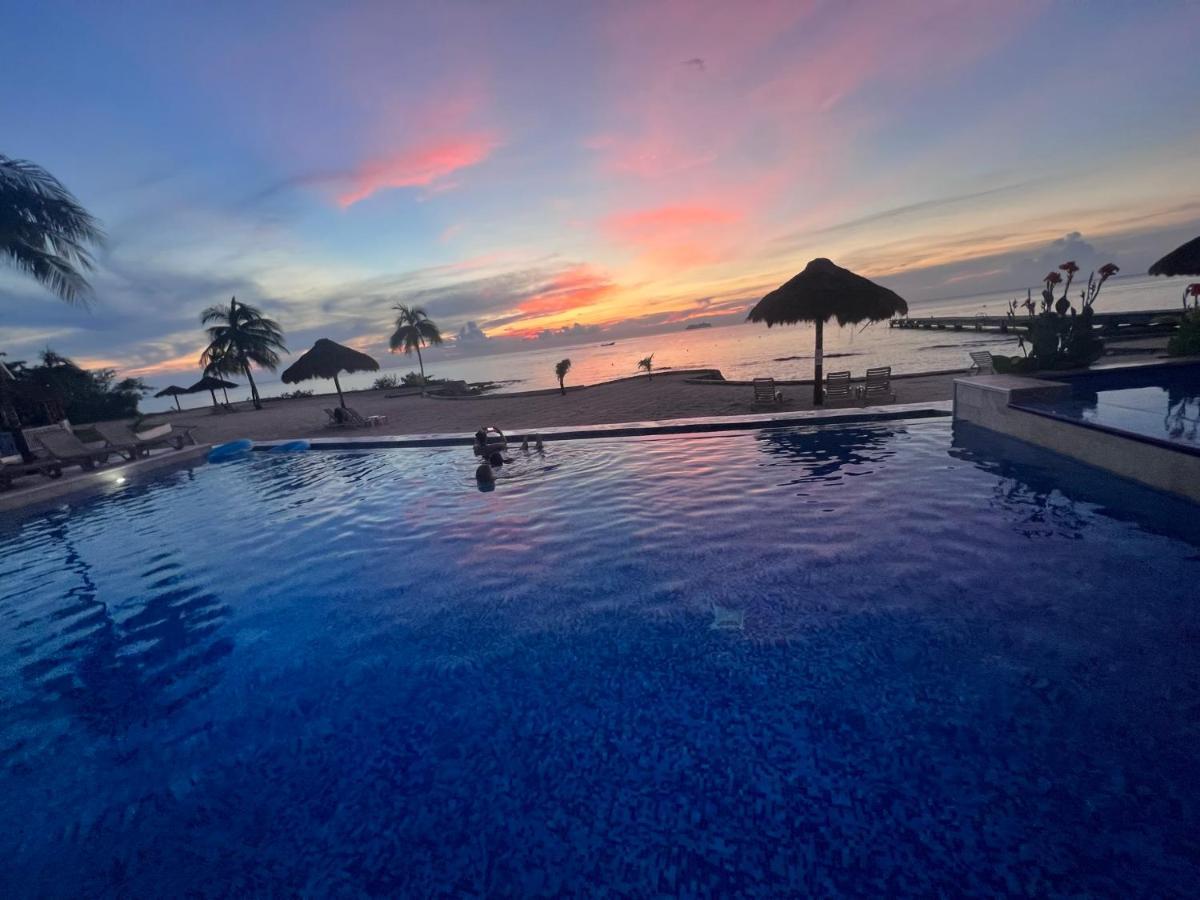 The Queen Of Cozumel Beach House -Luxury Beachfront Villa- Million Dollars View エクステリア 写真