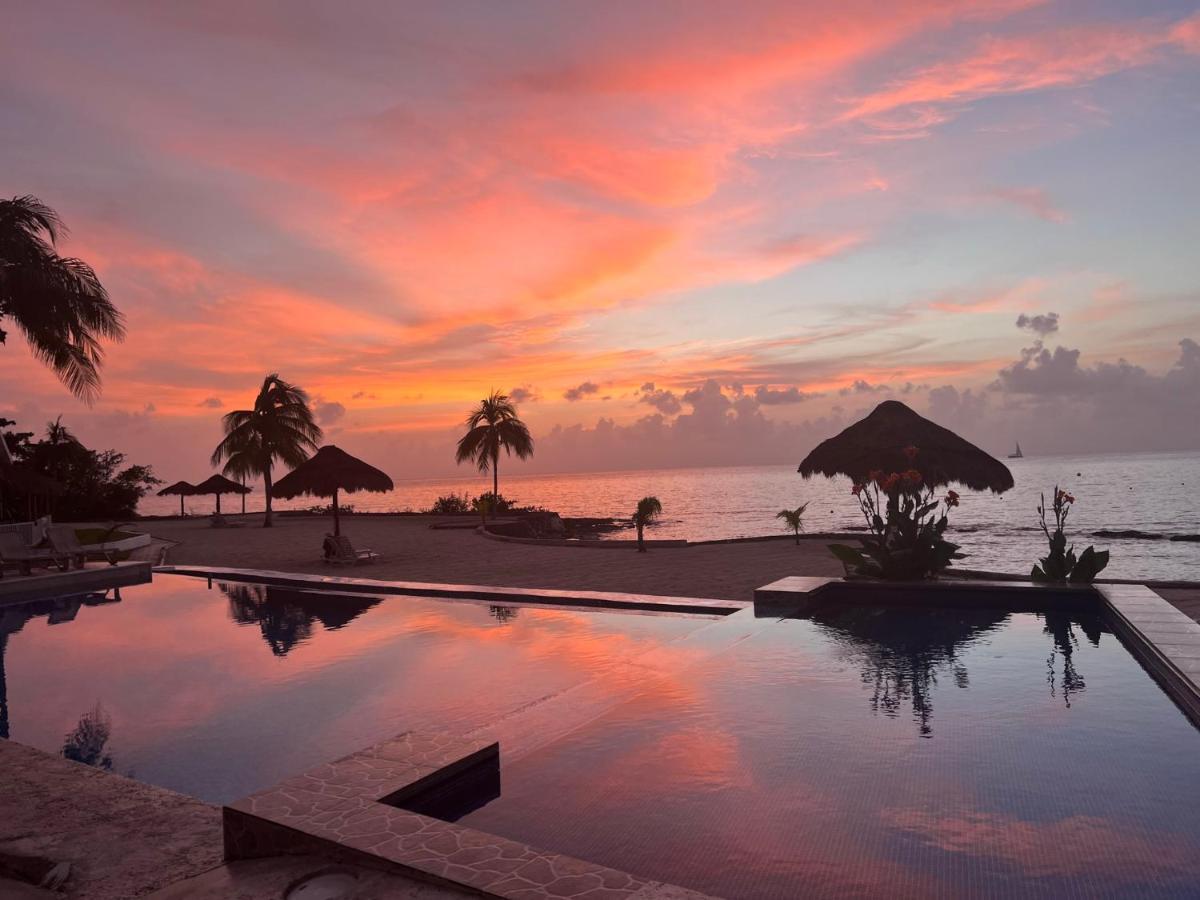 The Queen Of Cozumel Beach House -Luxury Beachfront Villa- Million Dollars View エクステリア 写真