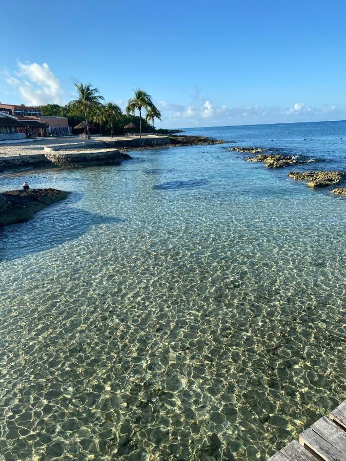 The Queen Of Cozumel Beach House -Luxury Beachfront Villa- Million Dollars View エクステリア 写真