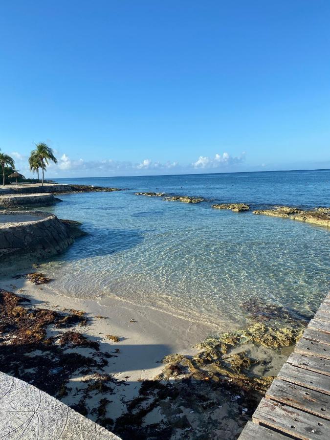 The Queen Of Cozumel Beach House -Luxury Beachfront Villa- Million Dollars View エクステリア 写真