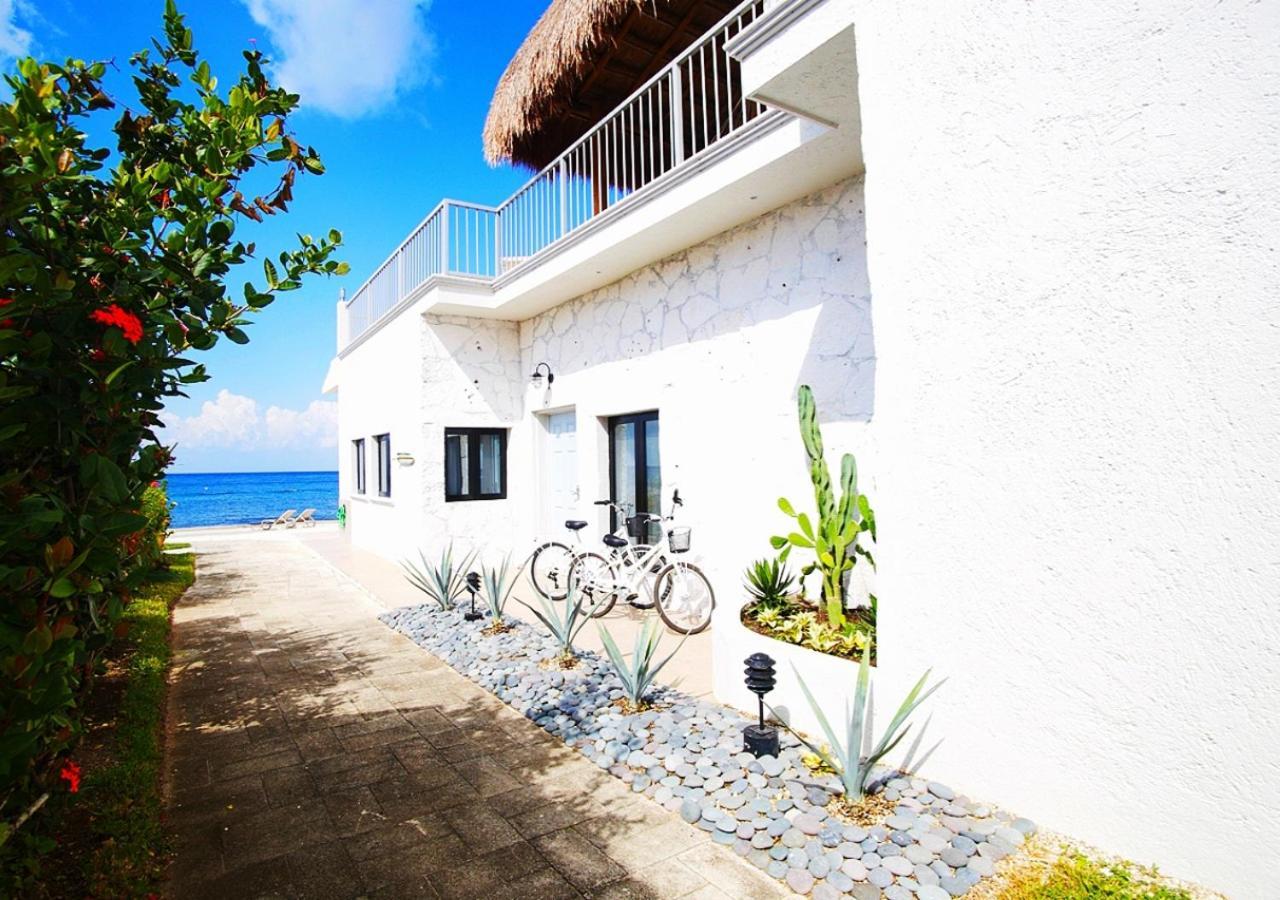 The Queen Of Cozumel Beach House -Luxury Beachfront Villa- Million Dollars View エクステリア 写真